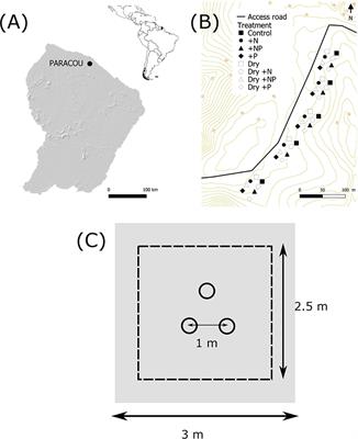 Disentangling Drought and Nutrient Effects on Soil Carbon Dioxide and Methane Fluxes in a Tropical Forest